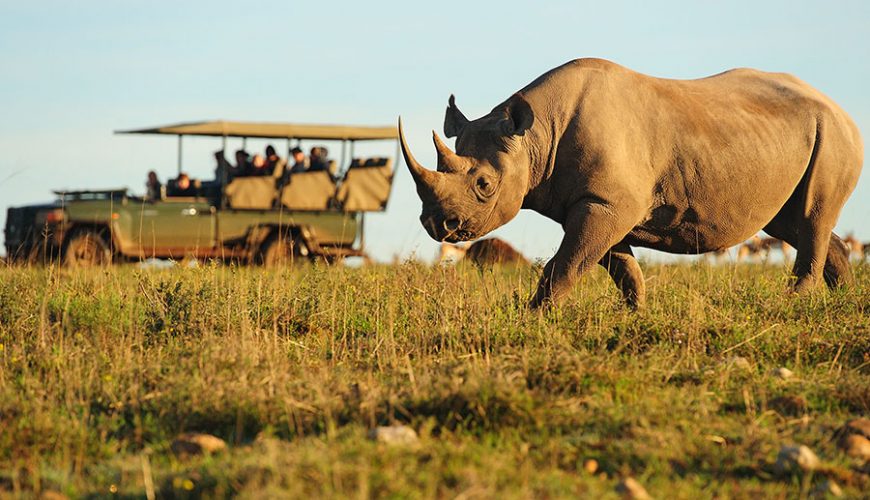 Pure Passion for our Planet