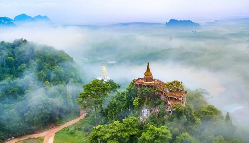 Pure Passion for our Planet