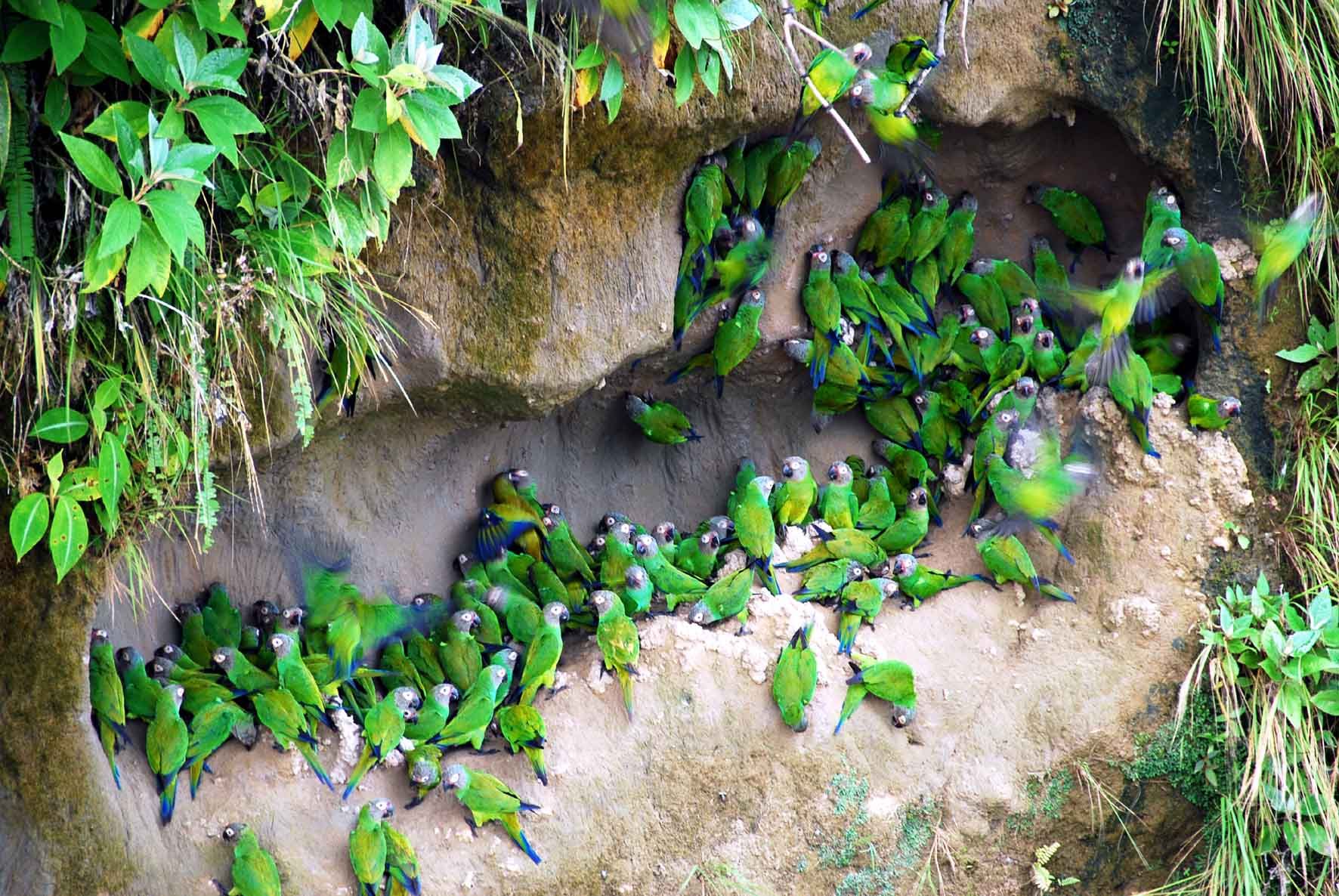 Ecuador: Eco Ecuador Experience - WeTravelEco