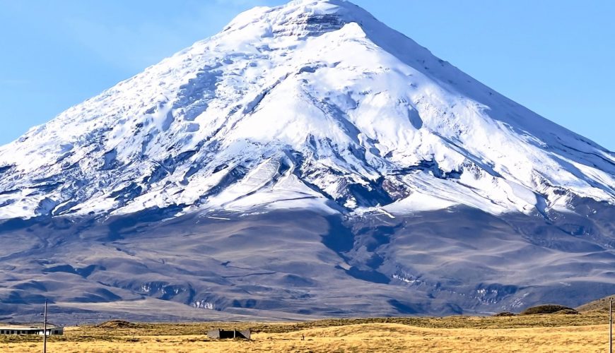 Pure Passion for our Planet