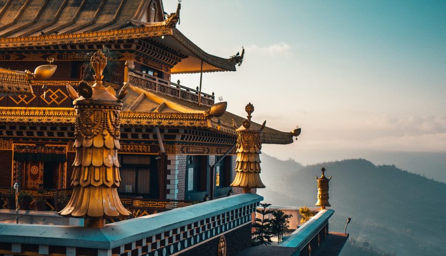 Pure Passion for our Planet