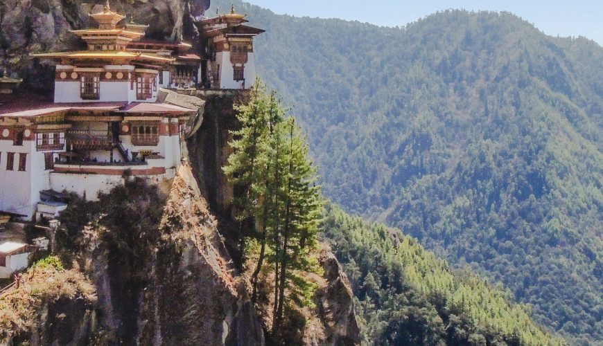 Pure Passion for our Planet