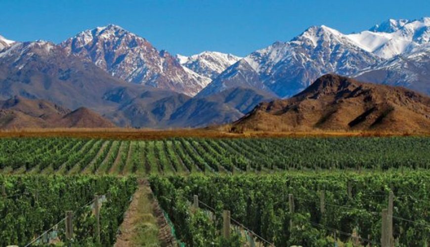 Pure Passion for our Planet