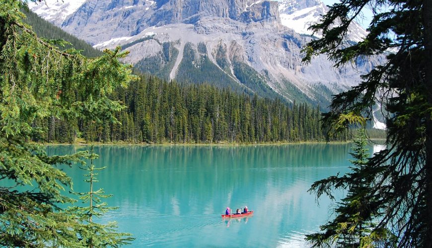 Pure Passion for our Planet