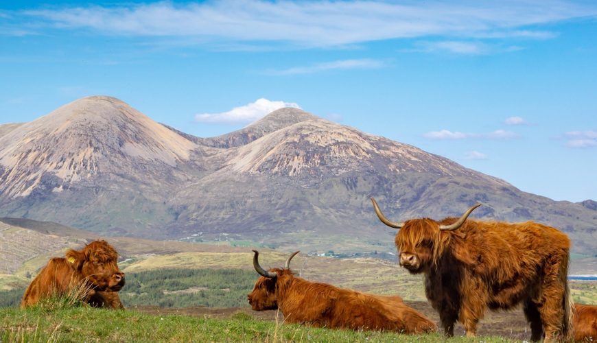 Pure Passion for our Planet