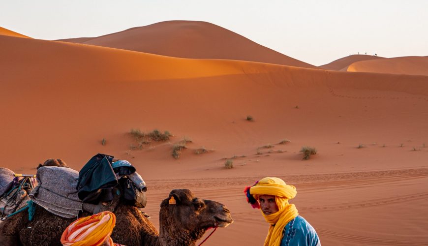 Pure Passion for our Planet