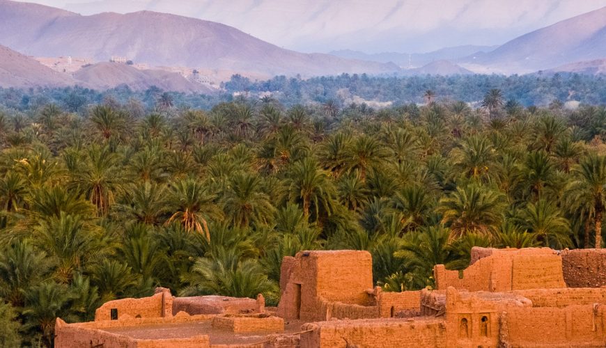 Pure Passion for our Planet