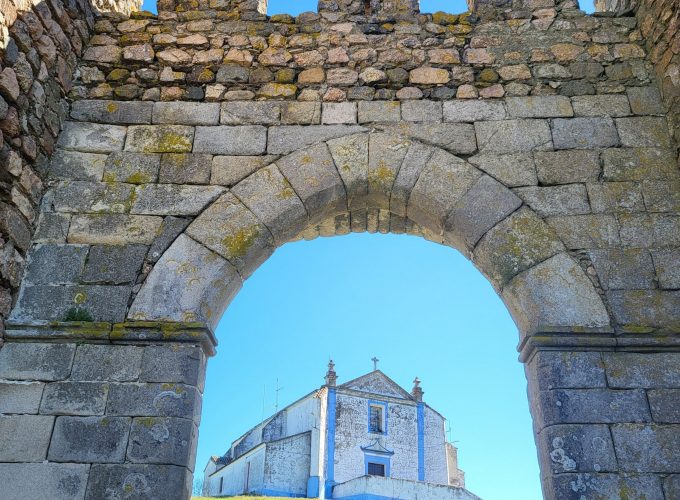 Pure Passion for our Planet