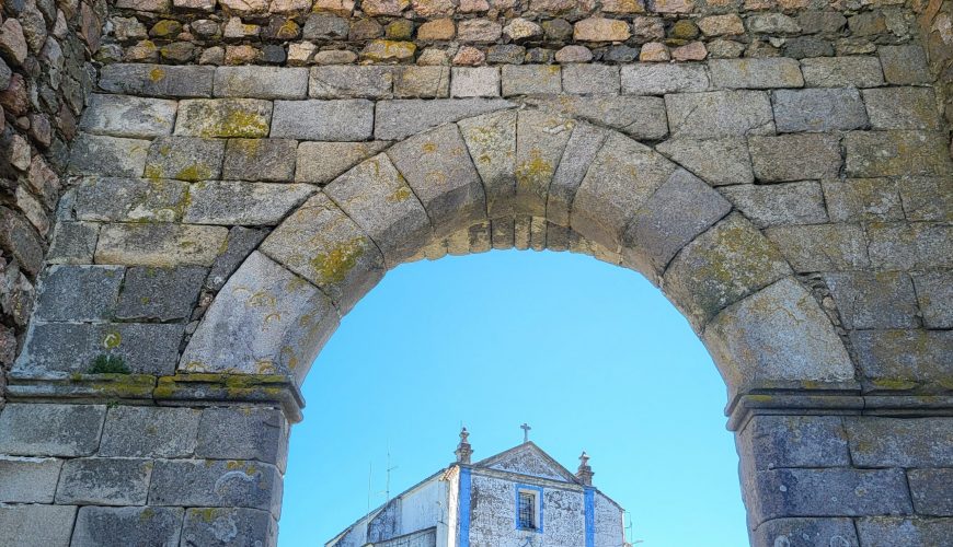 Pure Passion for our Planet