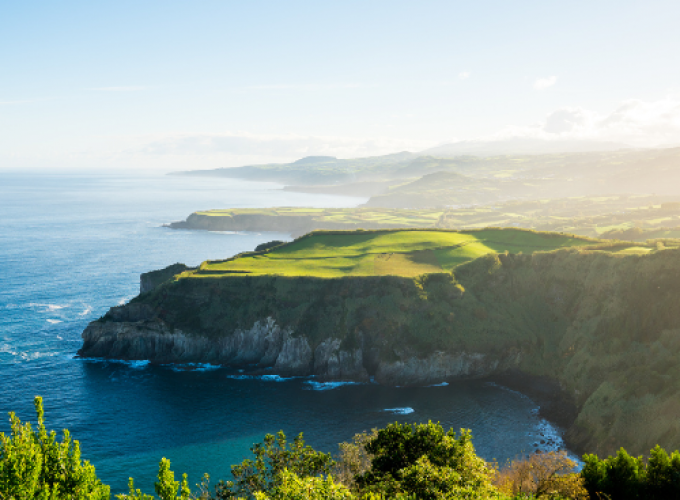 Pure Passion for our Planet