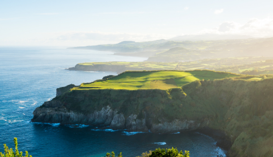 Pure Passion for our Planet