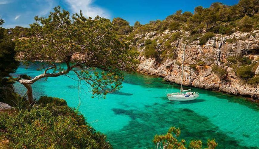 Pure Passion for our Planet