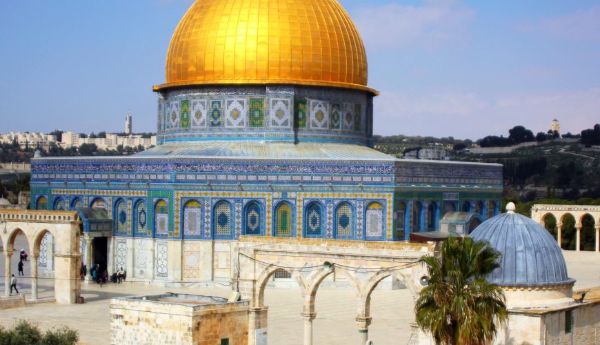 Pure Passion for our Planet