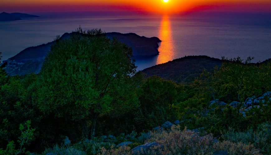 Pure Passion for our Planet