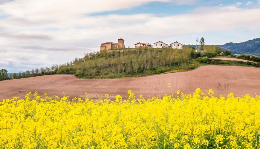 Pure Passion for our Planet