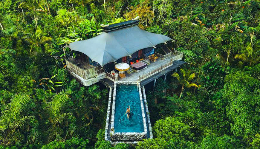 Pure Passion for our Planet