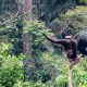 Pure Passion for our Planet