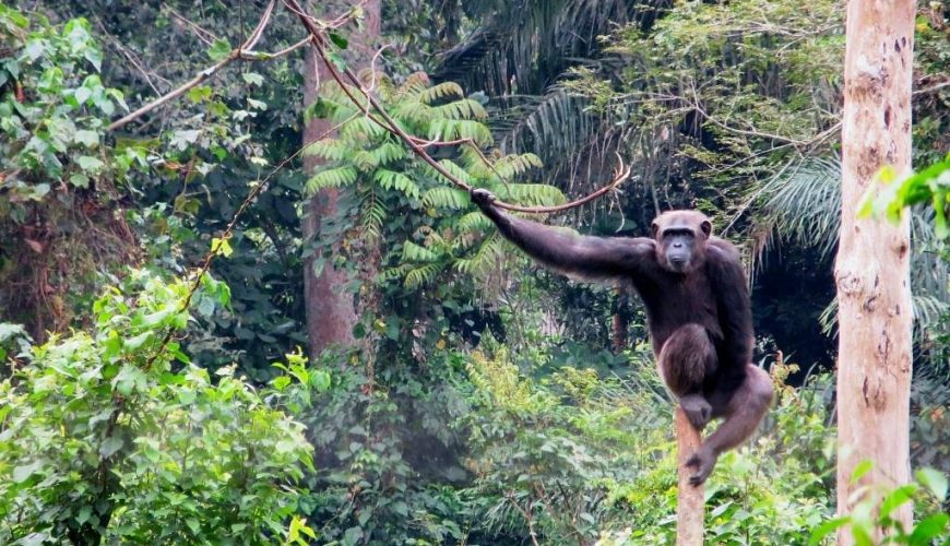 Pure Passion for our Planet