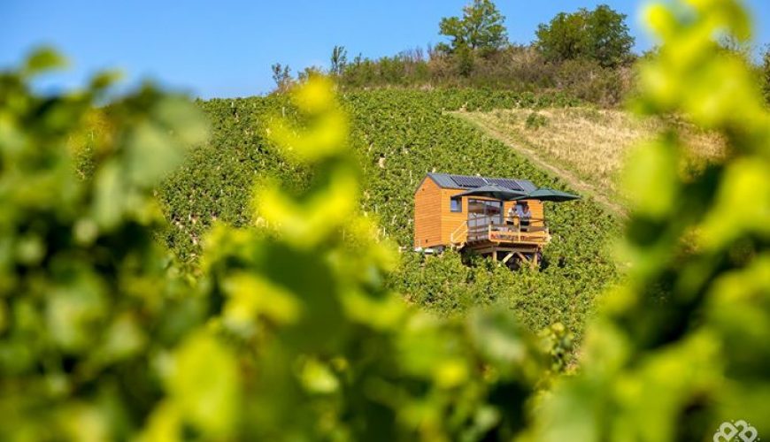 Pure Passion for our Planet