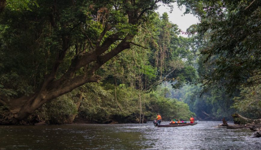 Pure Passion for our Planet