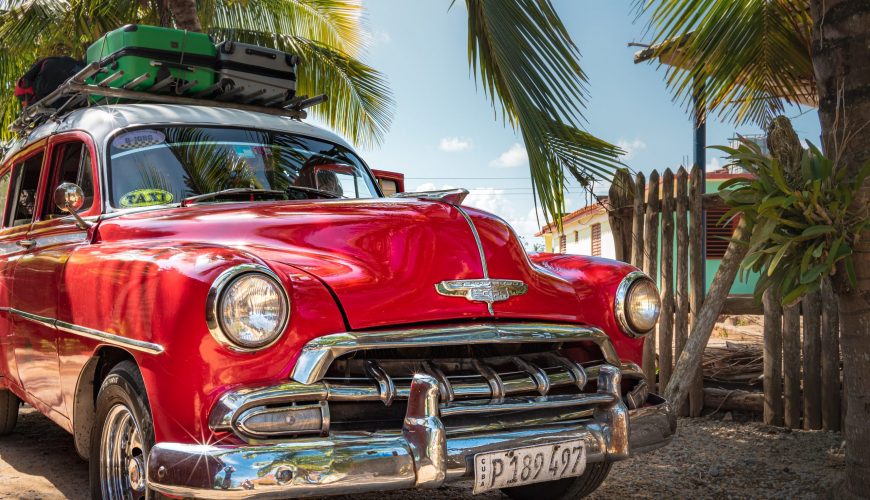 Pure Passion for our Planet