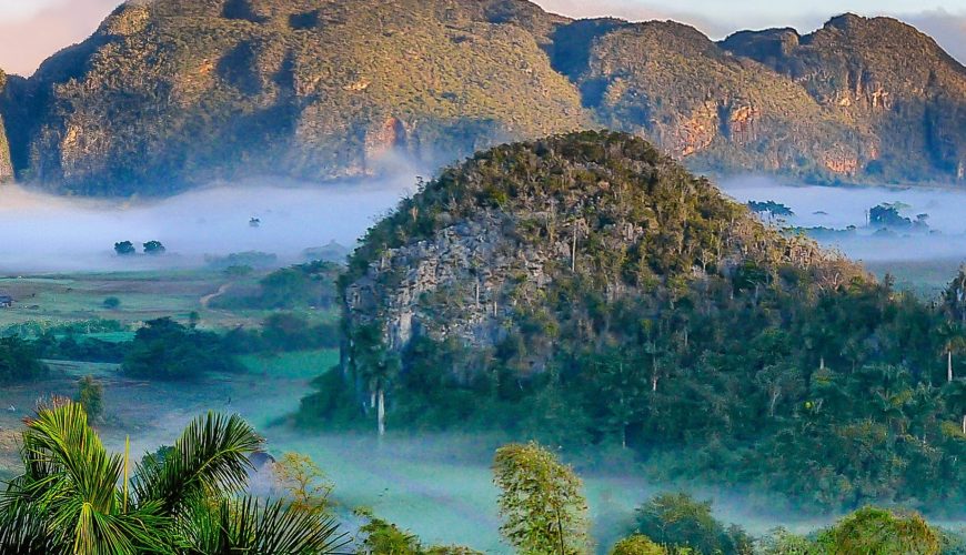 Pure Passion for our Planet