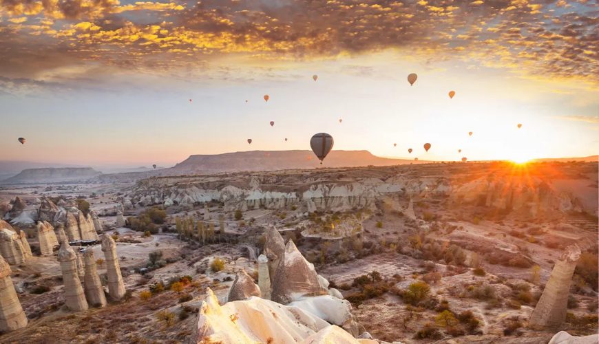 Pure Passion for our Planet