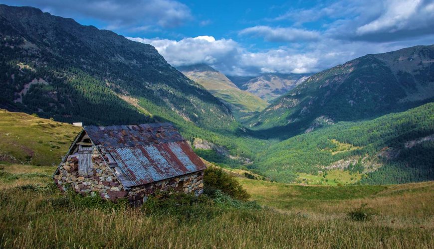 Pure Passion for our Planet