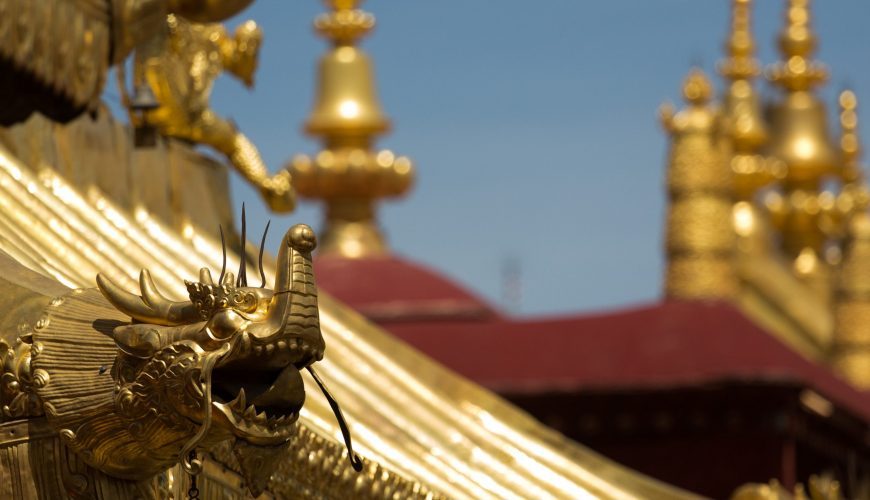 Pure Passion for our Planet