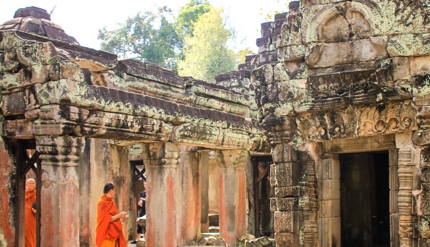 Pure Passion for our Planet