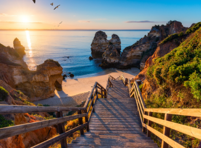 Pure Passion for our Planet