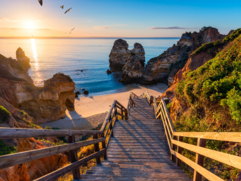 Pure Passion for our Planet