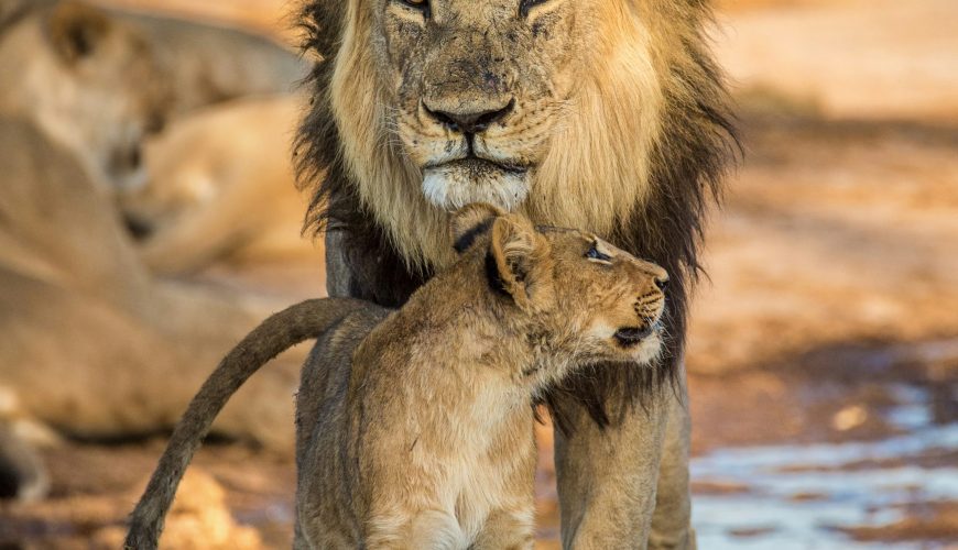 Pure Passion for our Planet